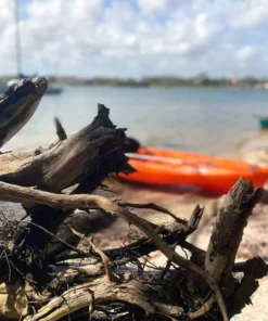 Pelican Sport Pulse 100X With Paddle Kayak