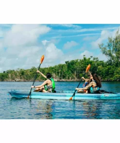 Pelican Sport Accessories Standard Paddle - Kayak Paddle 220 Cm (87'')